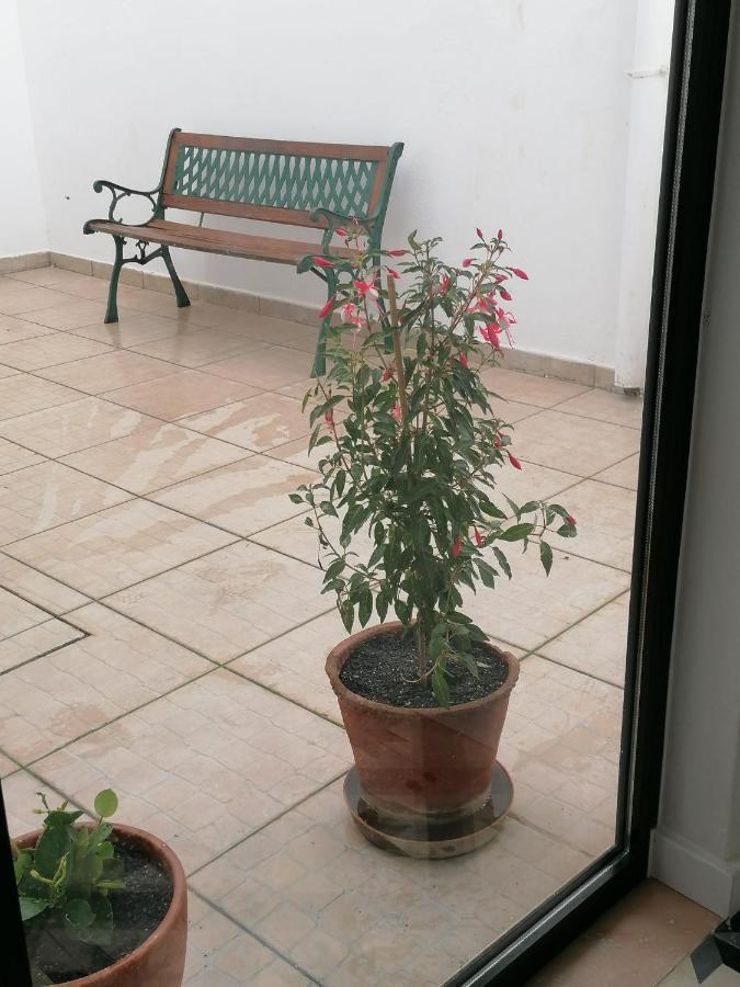 Casa Da Freiria Villa Евора Екстериор снимка